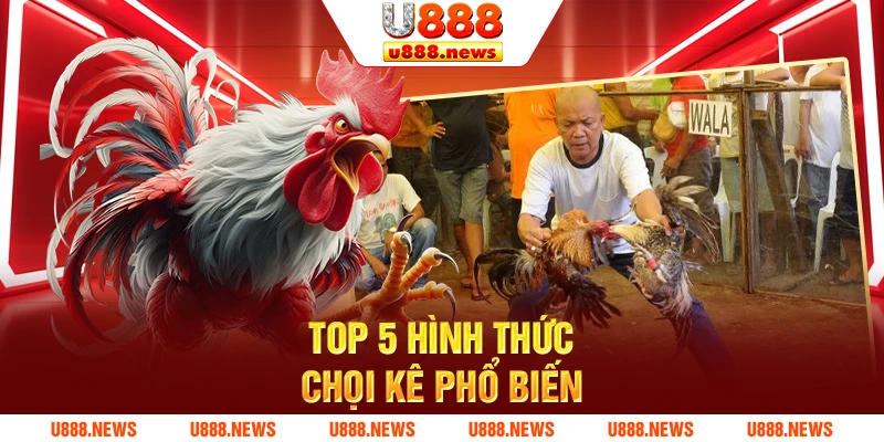 Top 5 hình thức chọi kê phổ biến